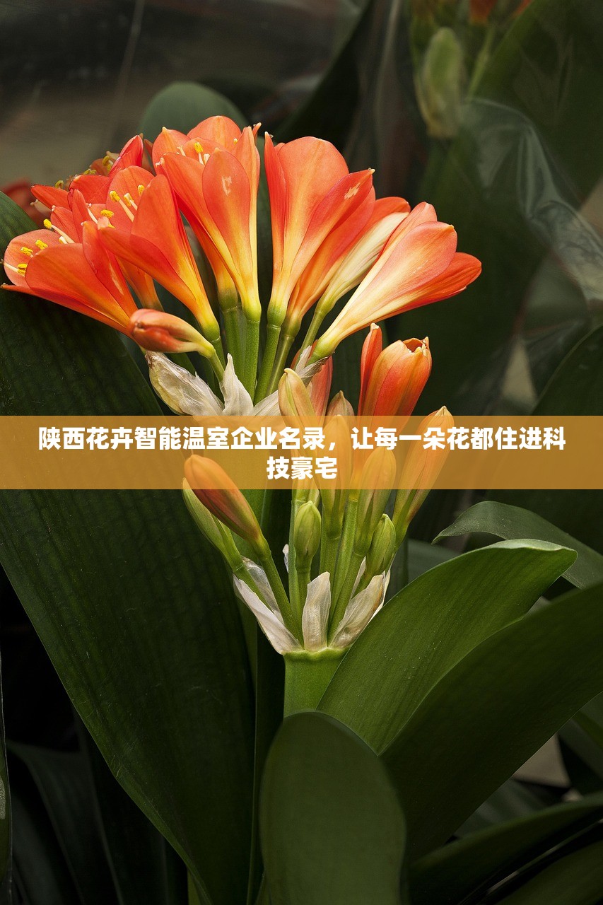 陕西花卉智能温室企业名录，让每一朵花都住进科技豪宅