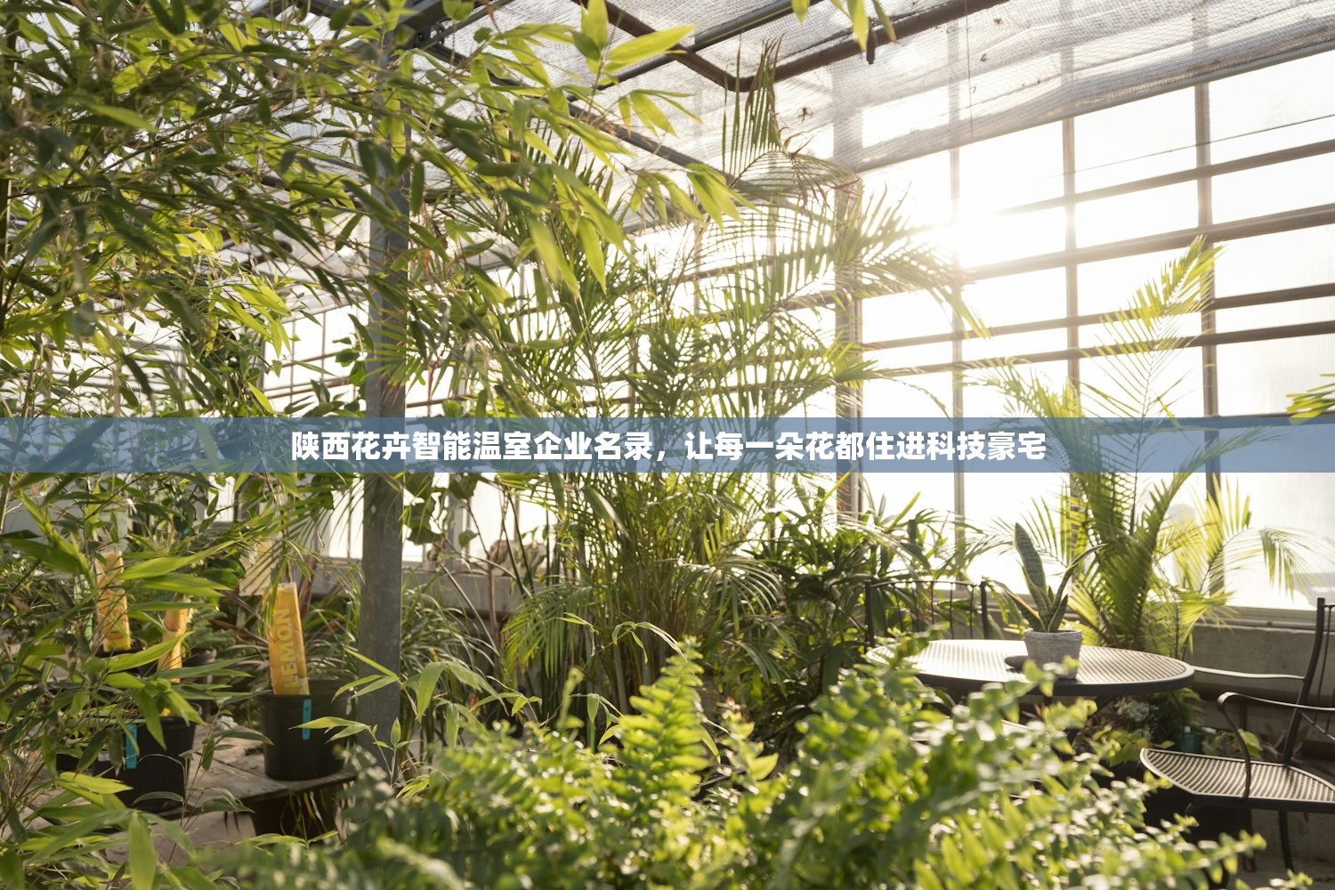 陕西花卉智能温室企业名录,让每一朵花都住进科技豪宅 陕西花卉智能温室企业名录,让每一朵花都住进科技豪宅