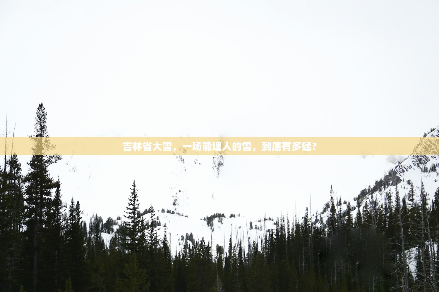 吉林省大雪,一场能埋人的雪,到底有多猛? 吉林省大雪,一场能埋人的雪,到底有多猛?