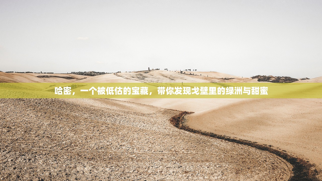 哈密，一个被低估的宝藏，带你发现戈壁里的绿洲与甜蜜