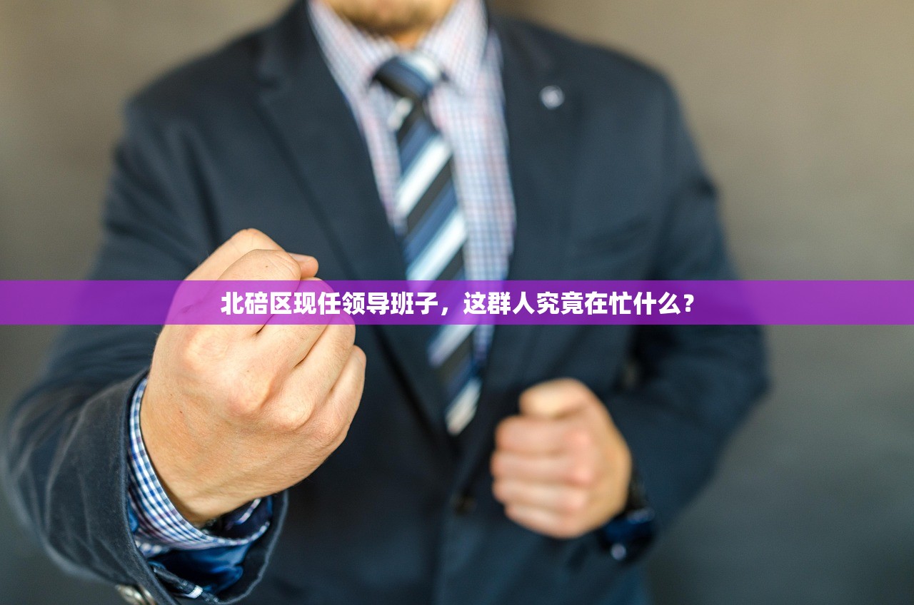 北碚区现任领导班子，这群人究竟在忙什么？