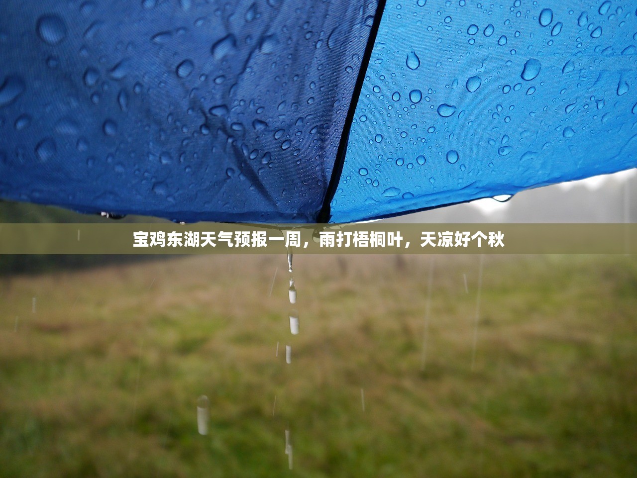 宝鸡东湖天气预报一周，雨打梧桐叶，天凉好个秋