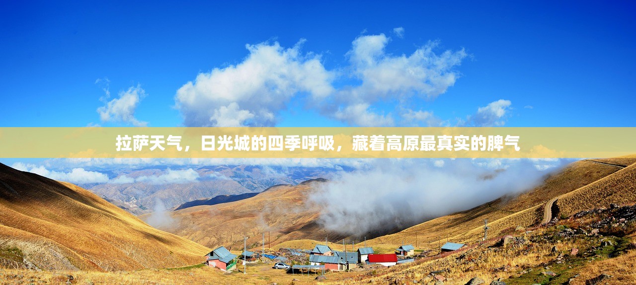 拉萨天气，日光城的四季呼吸，藏着高原最真实的脾气