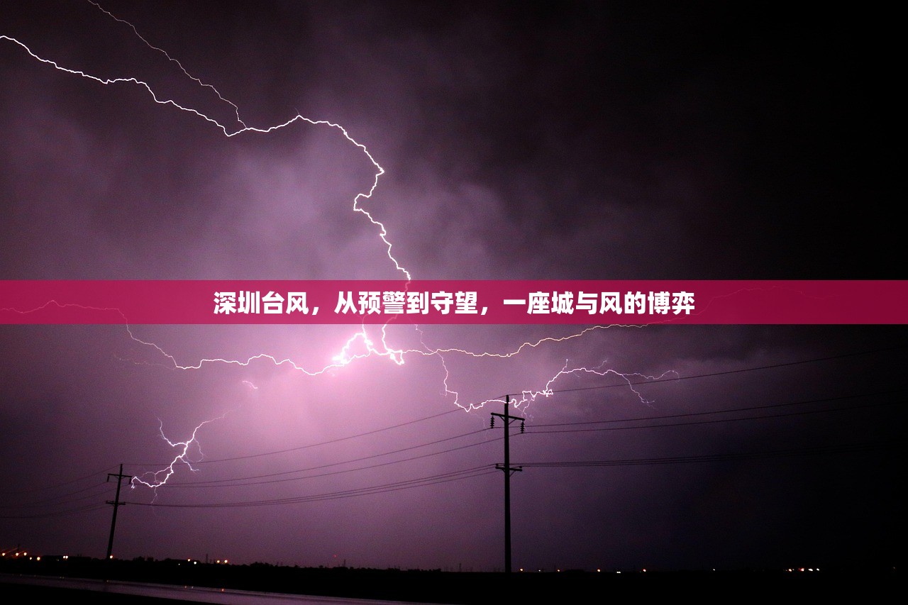 深圳台风,从预警到守望,一座城与风的博弈 深圳台风,从预警到守望,一座城与风的博弈