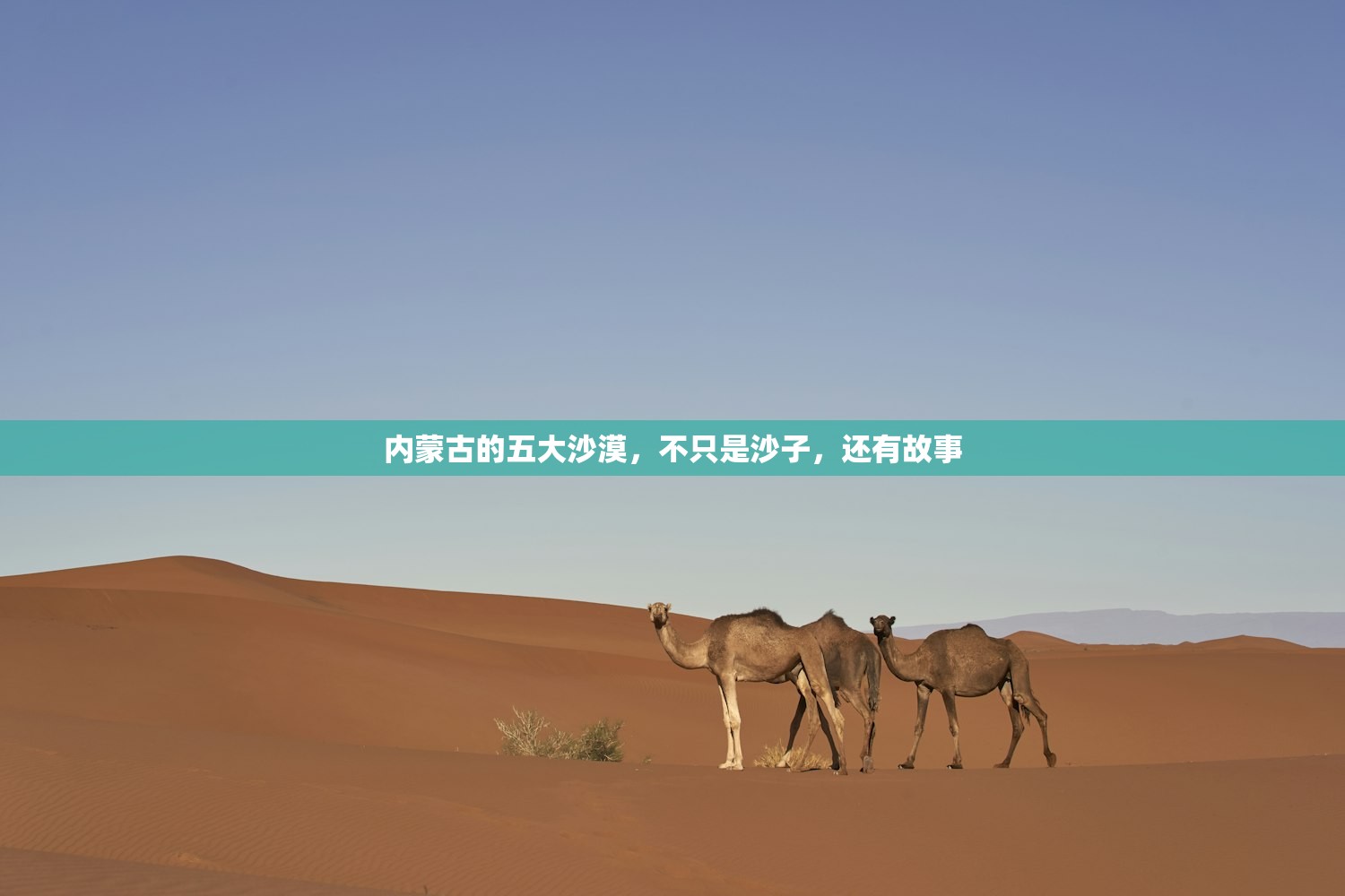 内蒙古的五大沙漠,不只是沙子,还有故事 内蒙古的五大沙漠,不只是沙子,还有故事