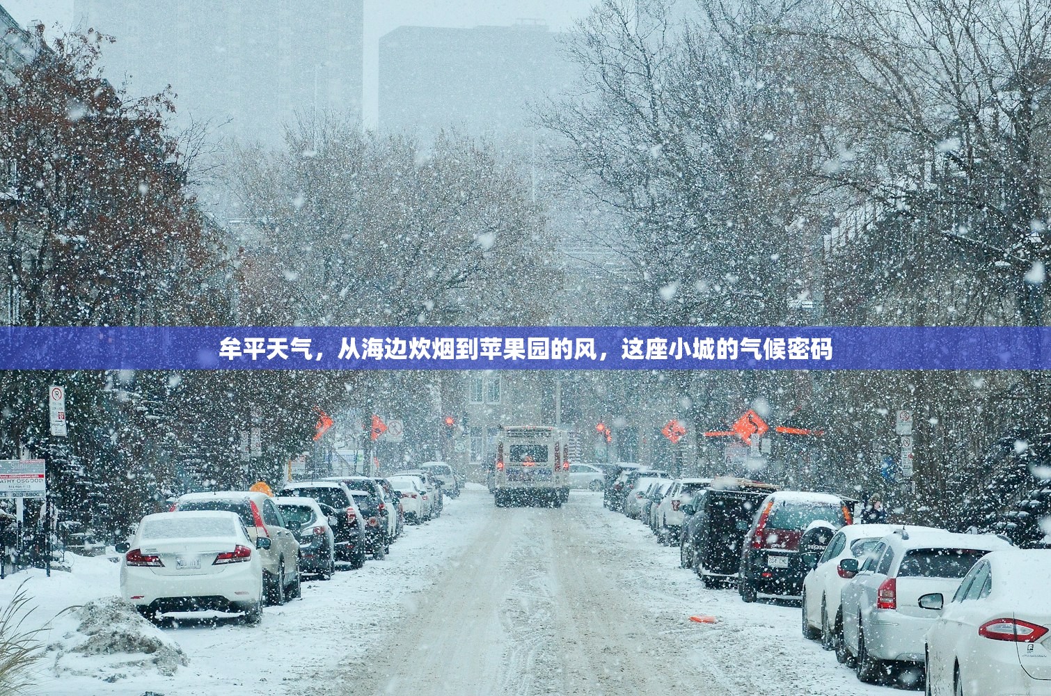 牟平天气,从海边炊烟到苹果园的风,这座小城的气候密码 牟平天气,从海边炊烟到苹果园的风,这座小城的气候密码