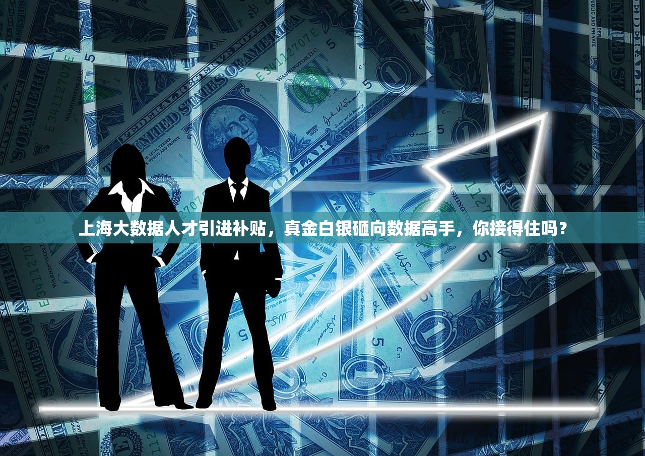 上海大数据人才引进补贴，真金白银砸向数据高手，你接得住吗？