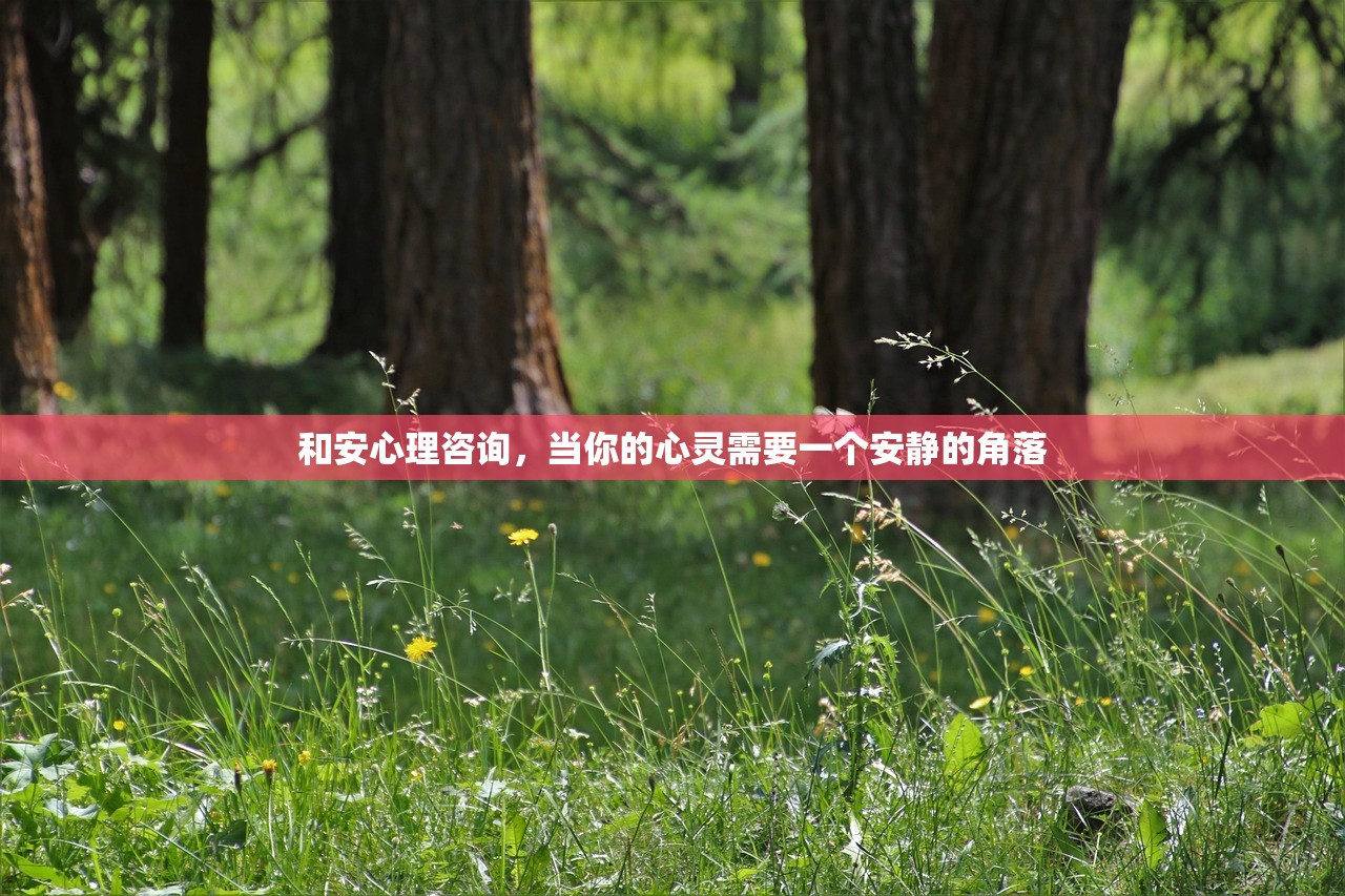 和安心理咨询，当你的心灵需要一个安静的角落