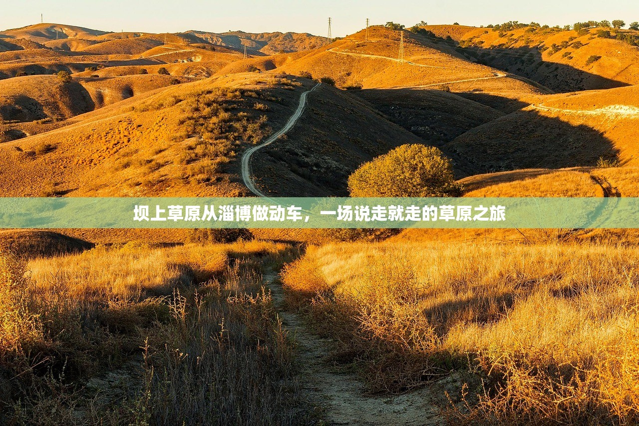 坝上草原从淄博做动车，一场说走就走的草原之旅