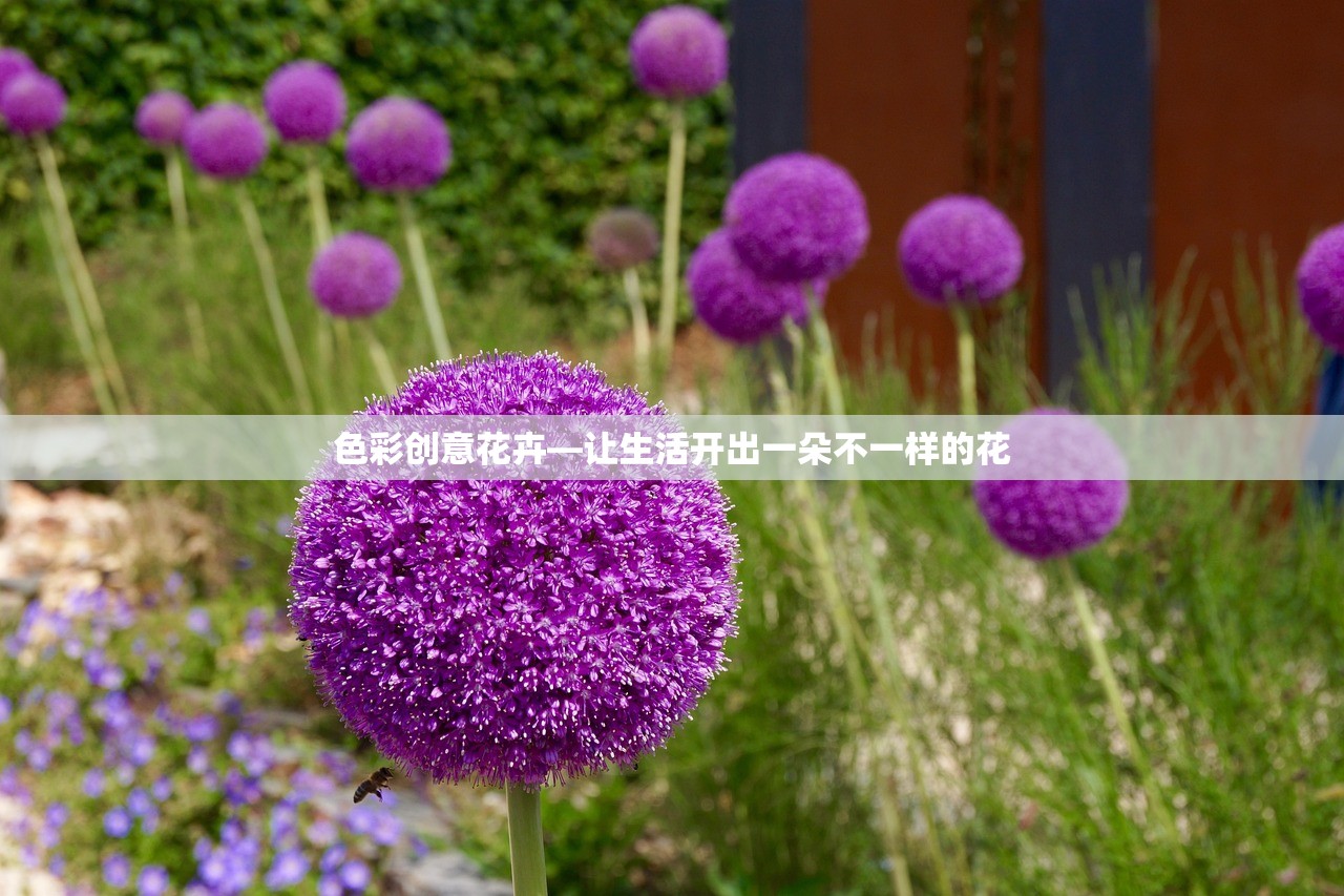 色彩创意花卉—让生活开出一朵不一样的花