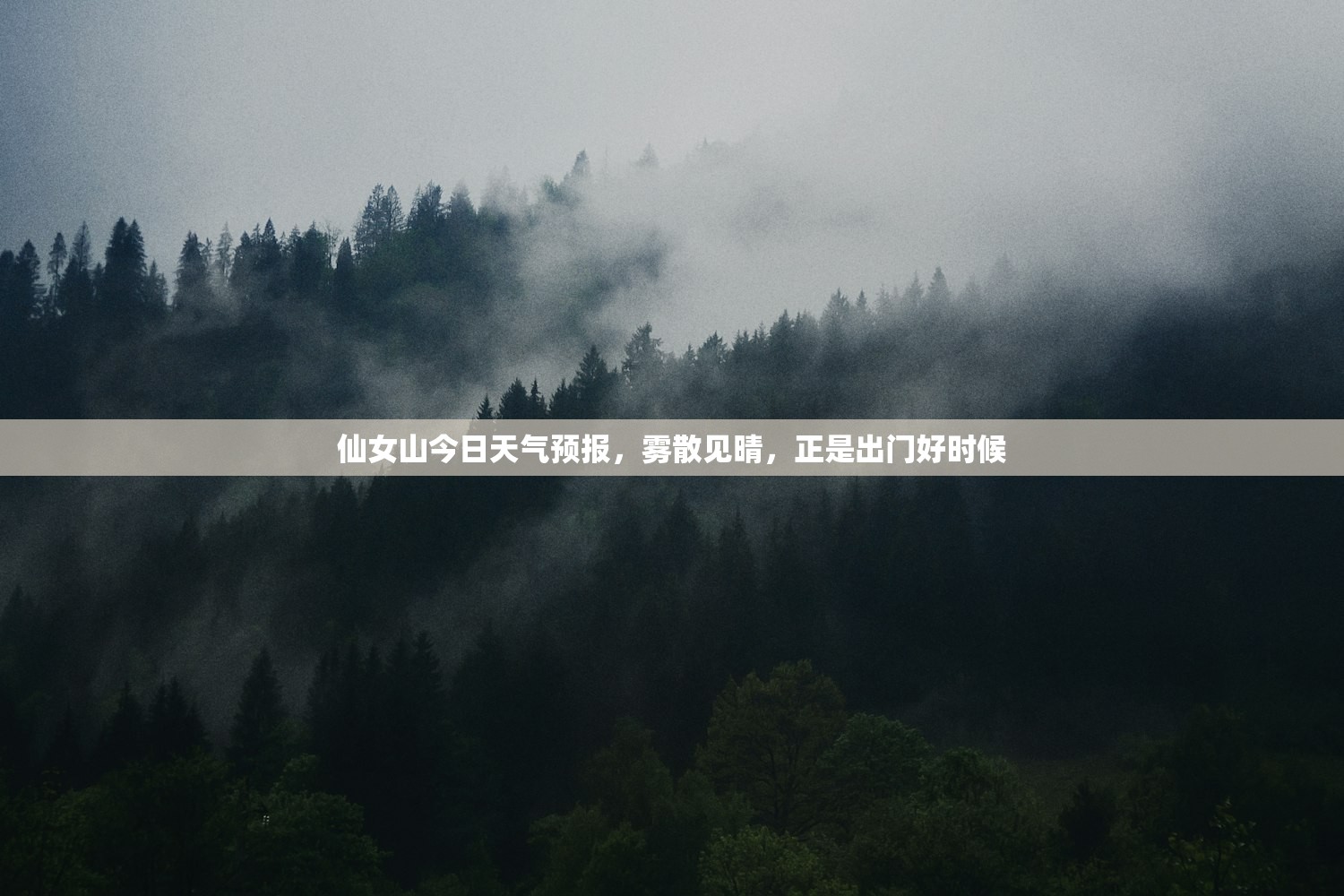 仙女山今日天气预报，雾散见晴，正是出门好时候