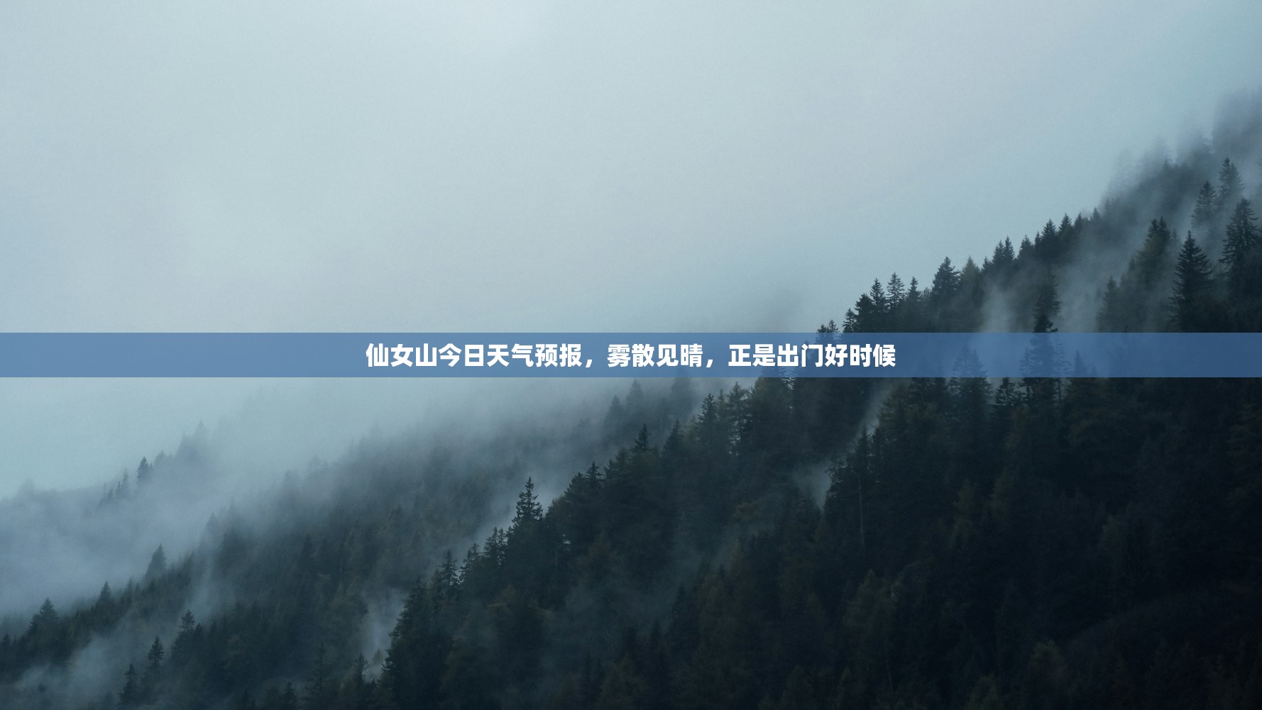 仙女山今日天气预报，雾散见晴，正是出门好时候
