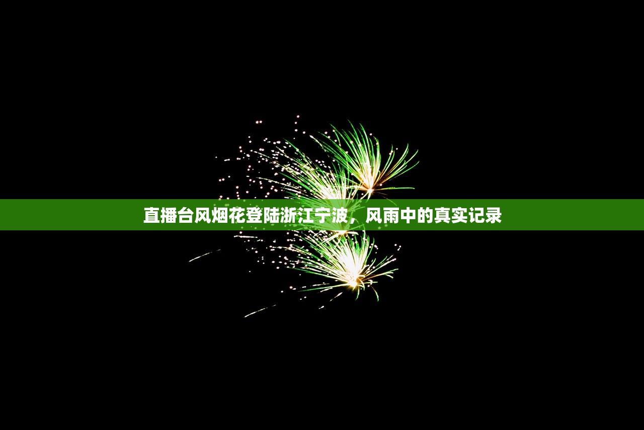 直播台风烟花登陆浙江宁波，风雨中的真实记录