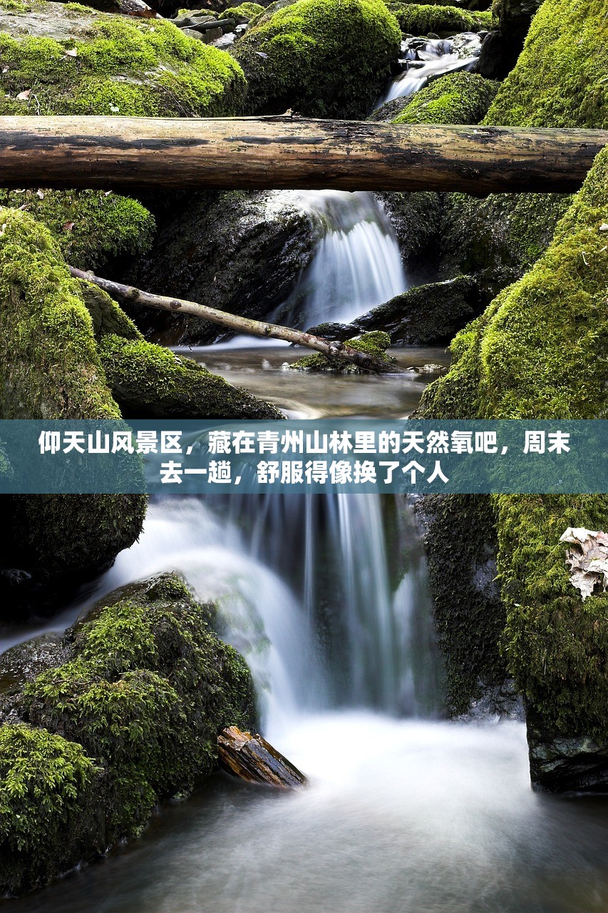 仰天山风景区,藏在青州山林里的天然氧吧,周末去一趟,舒服得像换了个人 仰天山风景区,藏在青州山林里的天然氧吧,周末去一趟,舒服得像换了个人