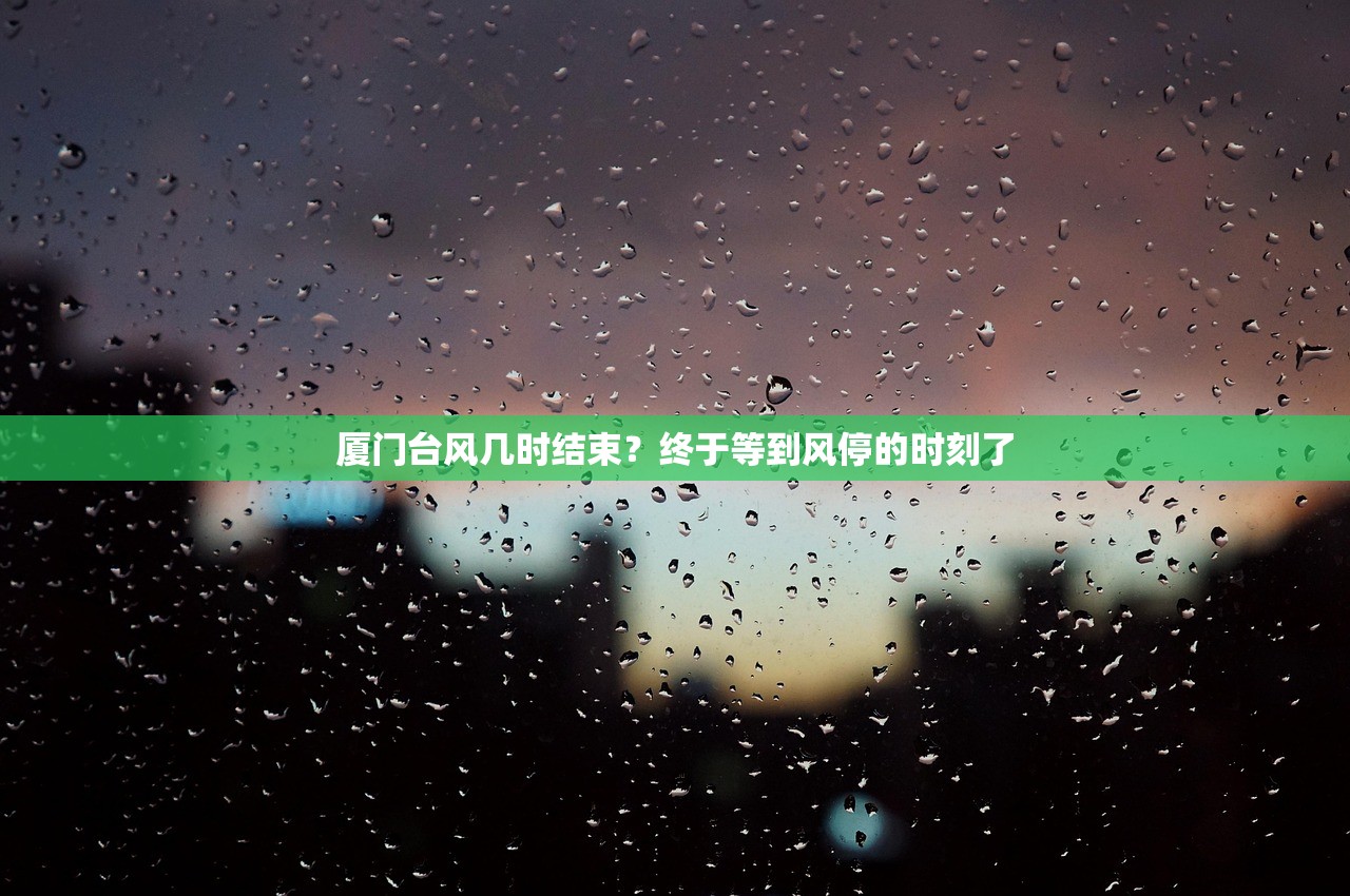 厦门台风几时结束?终于等到风停的时刻了 厦门台风几时结束?终于等到风停的时刻了