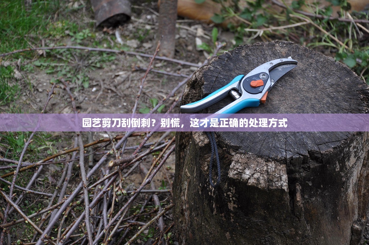 园艺剪刀刮倒刺？别慌，这才是正确的处理方式