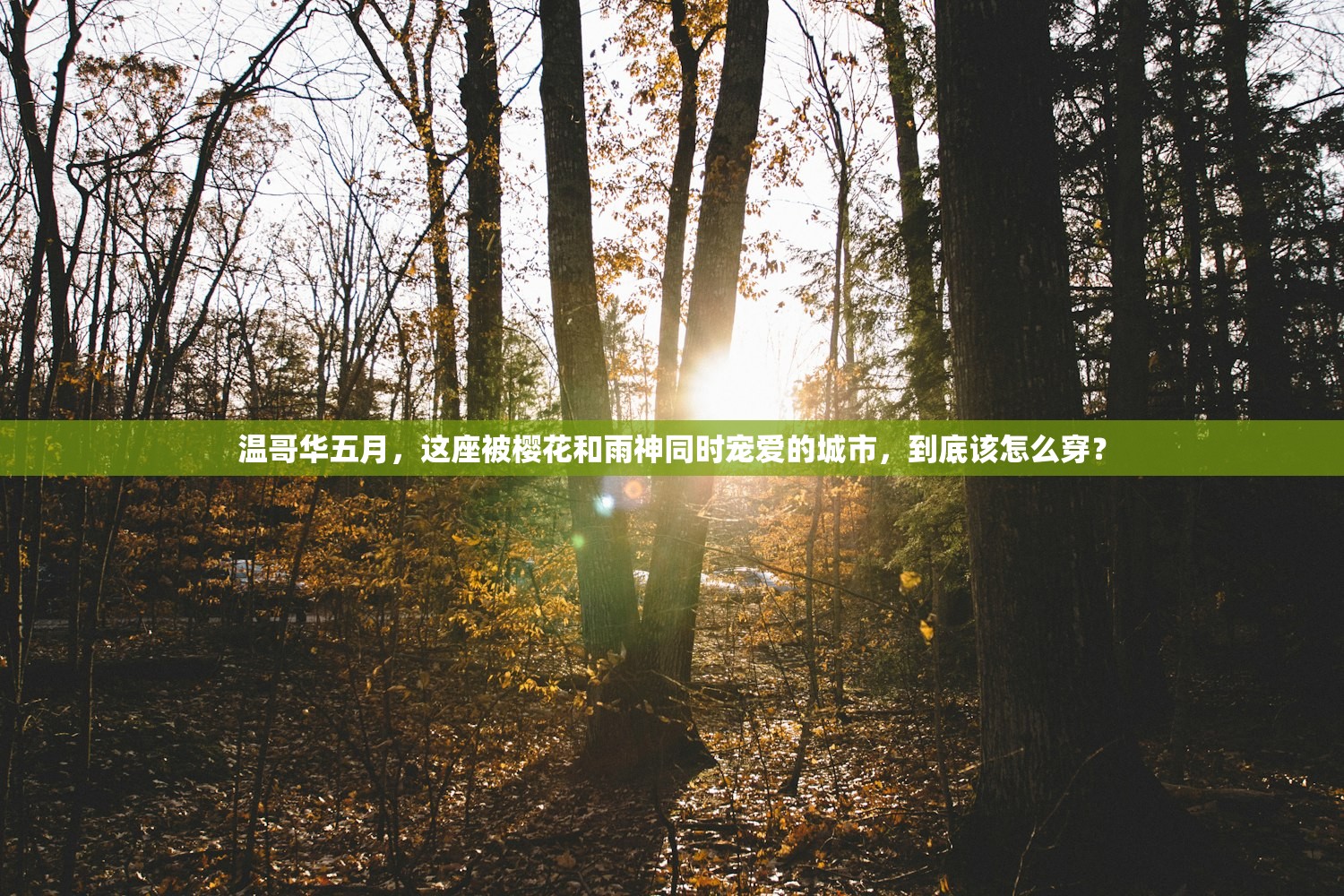 温哥华五月，这座被樱花和雨神同时宠爱的城市，到底该怎么穿？