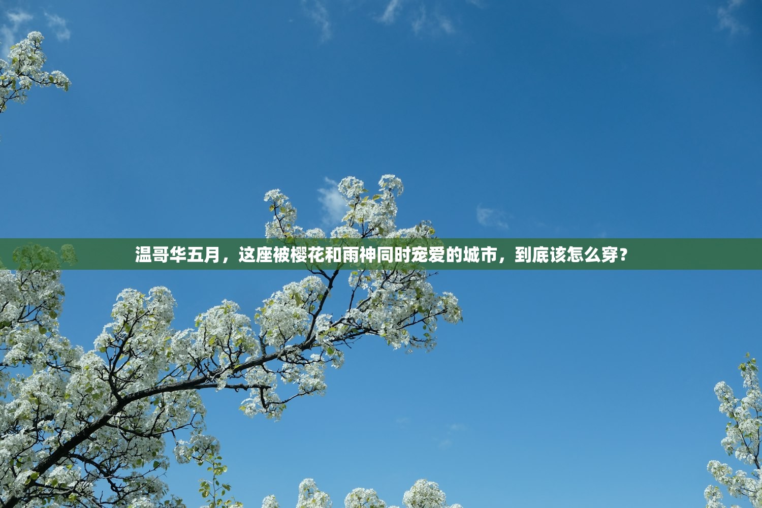 温哥华五月，这座被樱花和雨神同时宠爱的城市，到底该怎么穿？