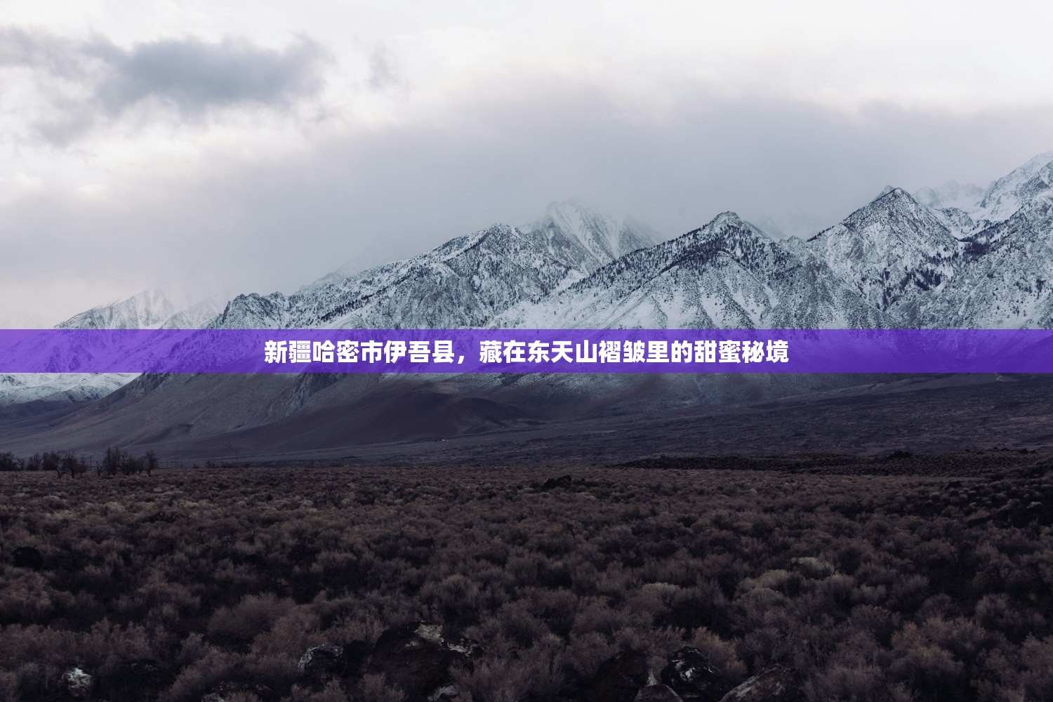 新疆哈密市伊吾县，藏在东天山褶皱里的甜蜜秘境