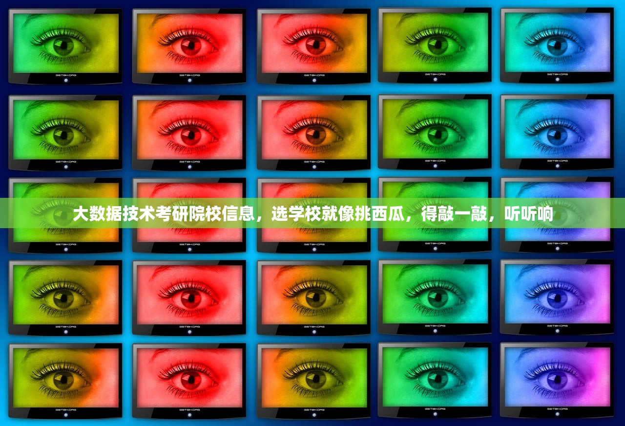 大数据技术考研院校信息，选学校就像挑西瓜，得敲一敲，听听响