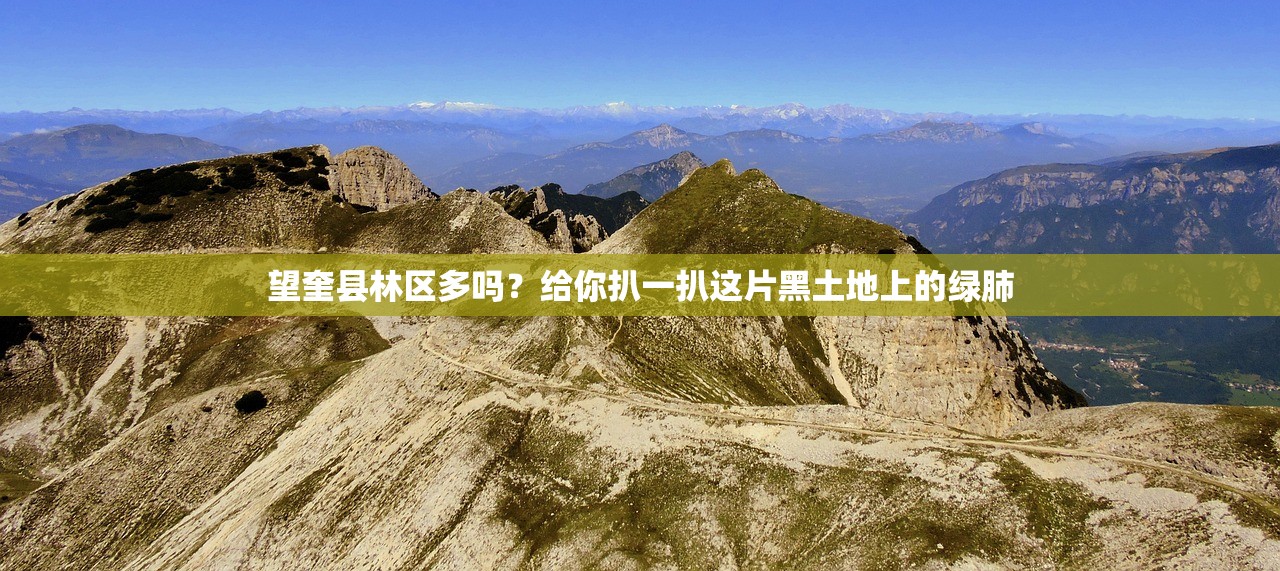 望奎县林区多吗？给你扒一扒这片黑土地上的绿肺