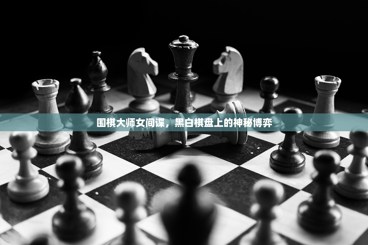 围棋大师女间谍，黑白棋盘上的神秘博弈