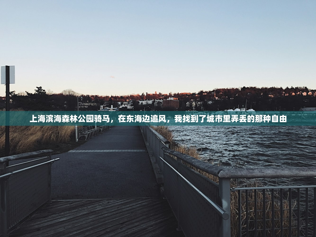 上海滨海森林公园骑马,在东海边追风,我找到了城市里弄丢的那种自由 上海滨海森林公园骑马,在东海边追风,我找到了城市里弄丢的那种自由