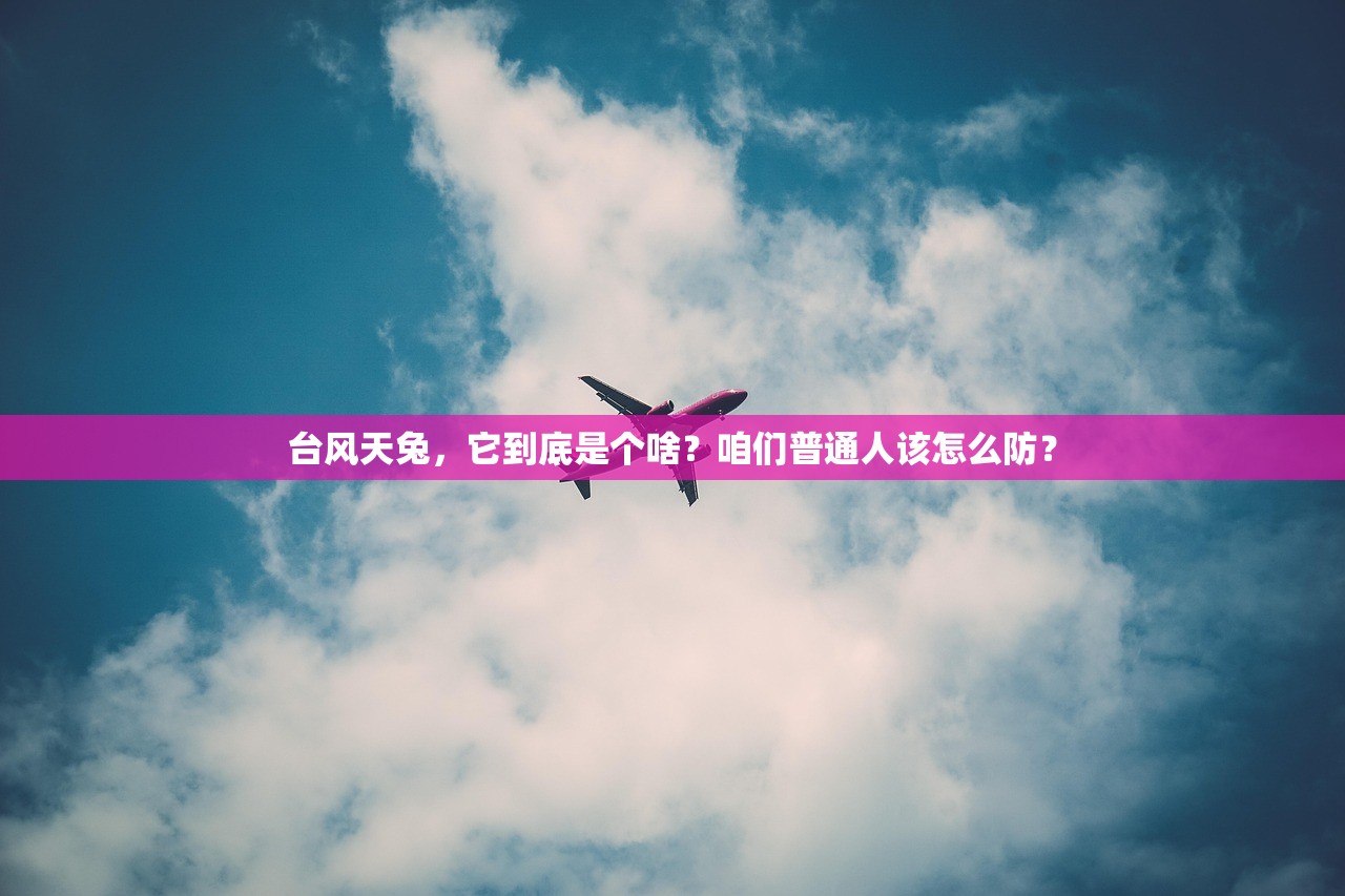 台风天兔,它到底是个啥?咱们普通人该怎么防? 台风天兔,它到底是个啥?咱们普通人该怎么防?