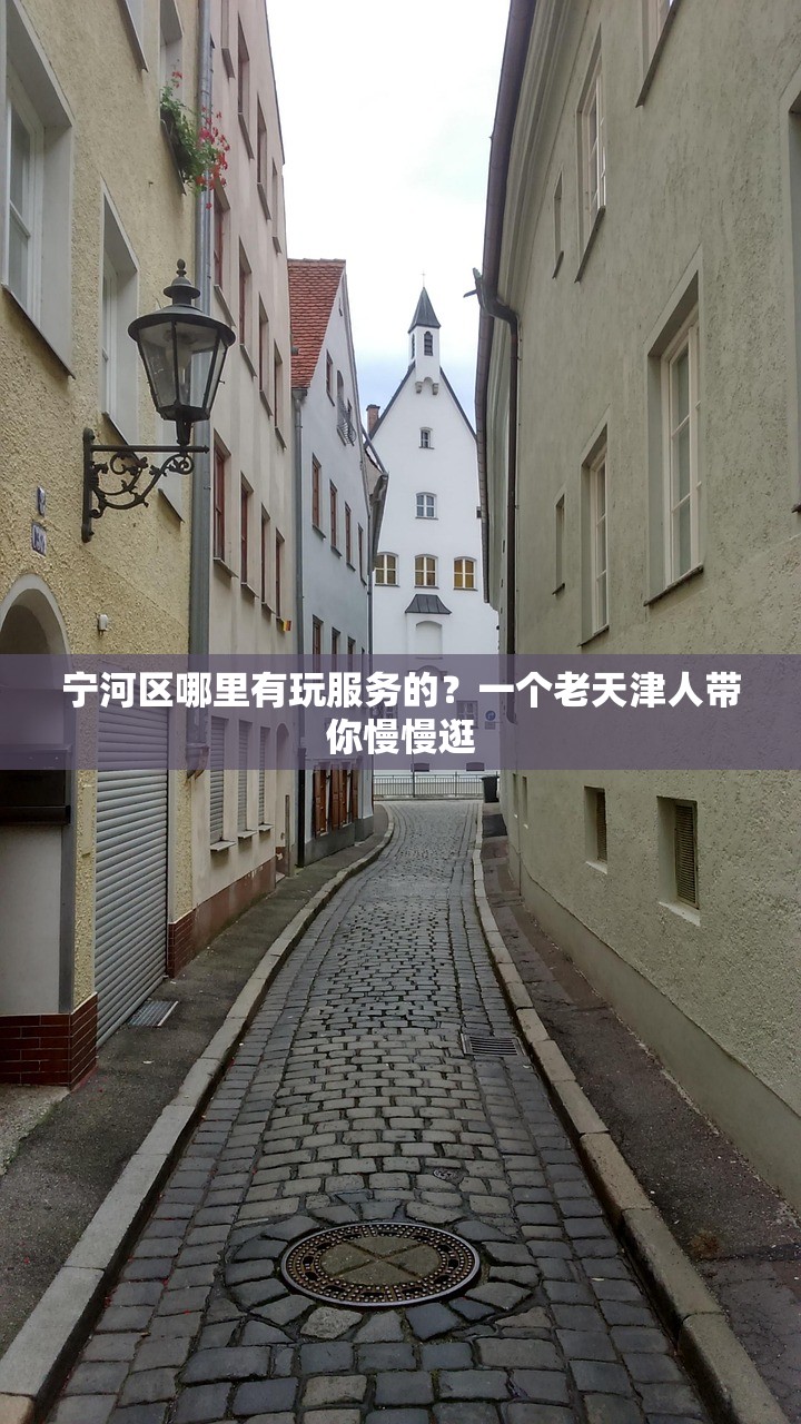 宁河区哪里有玩服务的？一个老天津人带你慢慢逛