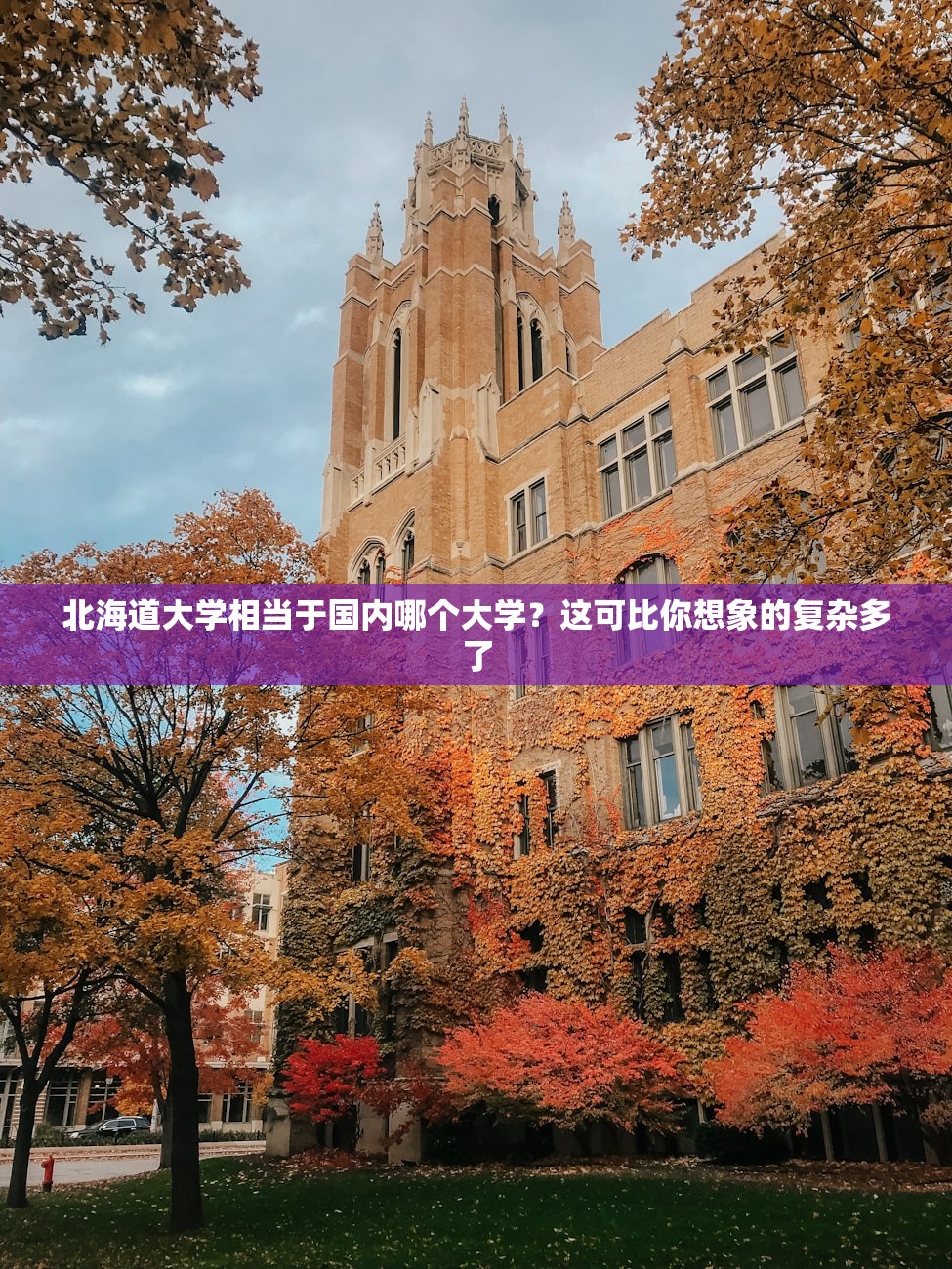 北海道大学相当于国内哪个大学？这可比你想象的复杂多了