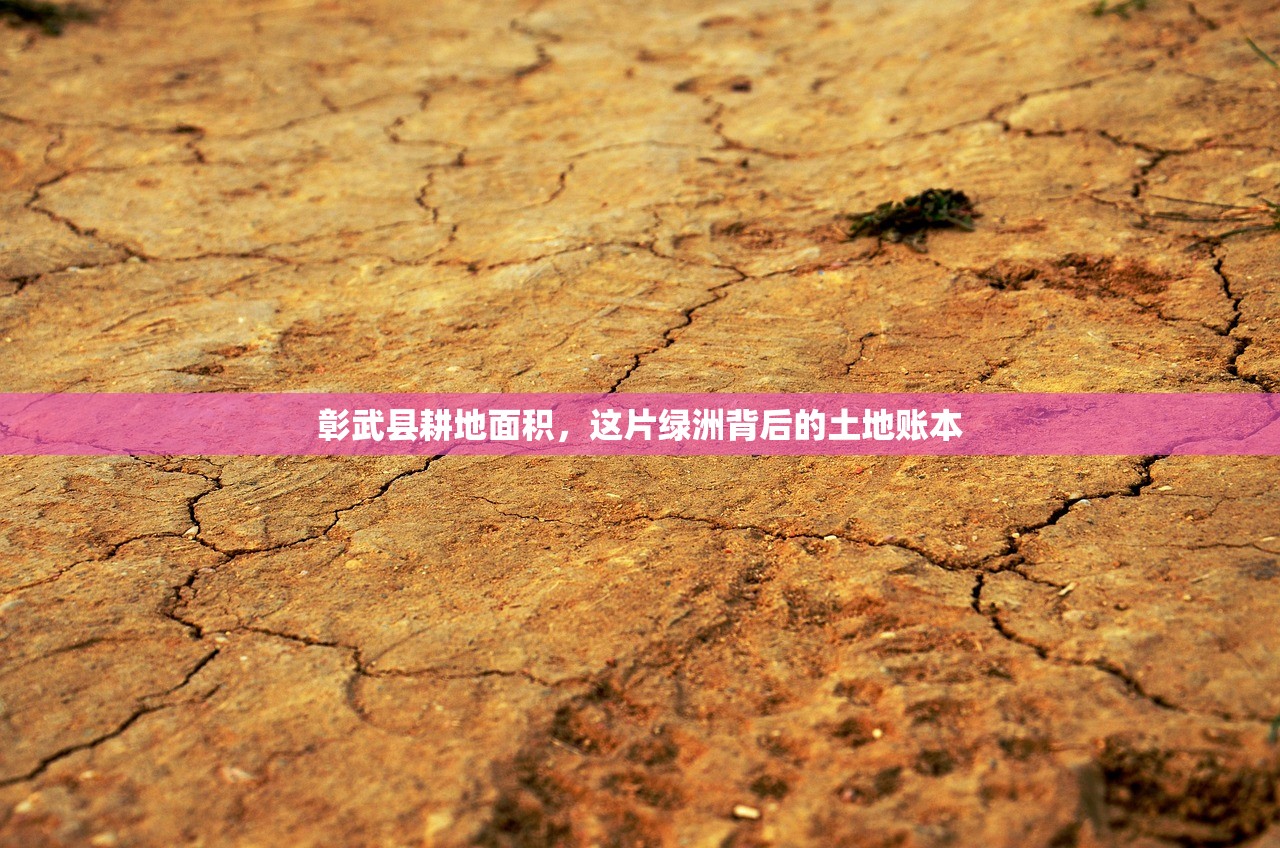 彰武县耕地面积,这片绿洲背后的土地账本 彰武县耕地面积,这片绿洲背后的土地账本