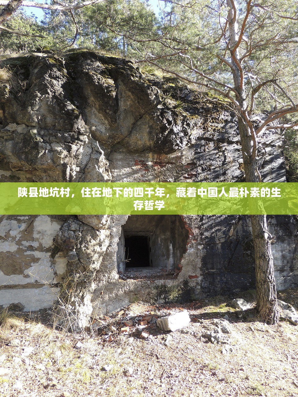 陕县地坑村，住在地下的四千年，藏着中国人最朴素的生存哲学